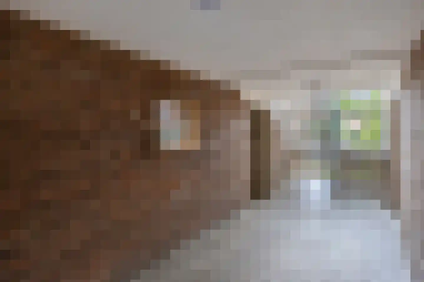 Prof. Dr. Bakkerlaan 95 Nieuwegein thumbnail 6