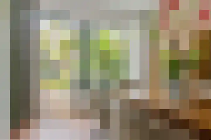Prof. dr. C. Eijkmanweg 15 De Bilt thumbnail 10