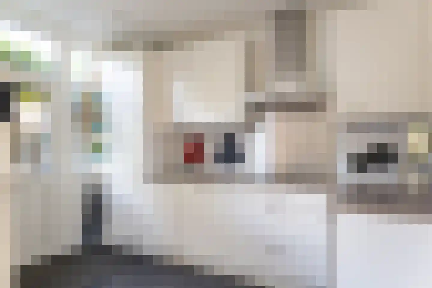 Prof. dr. C. Eijkmanweg 5 De Bilt thumbnail 13