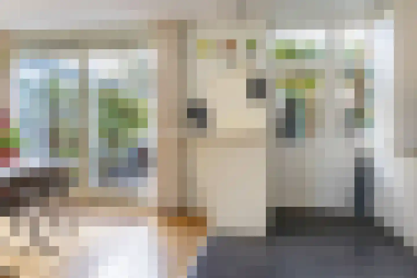Prof. dr. C. Eijkmanweg 5 De Bilt thumbnail 14