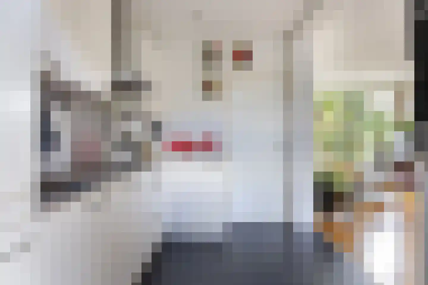 Prof. dr. C. Eijkmanweg 5 De Bilt thumbnail 15