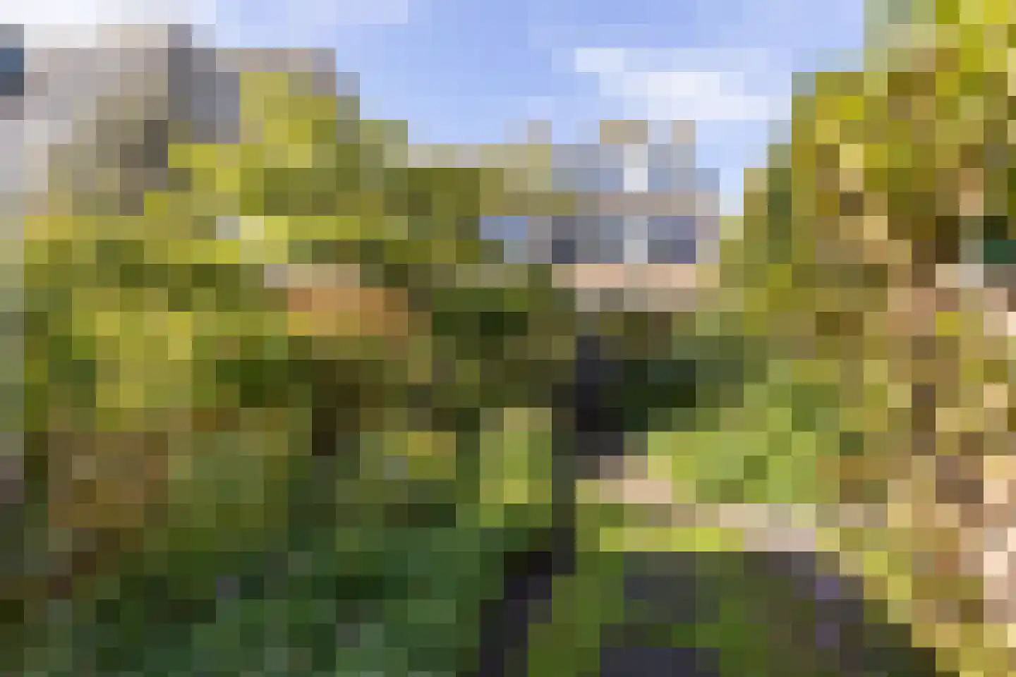 Prof. dr. C. Eijkmanweg 5 De Bilt thumbnail 31