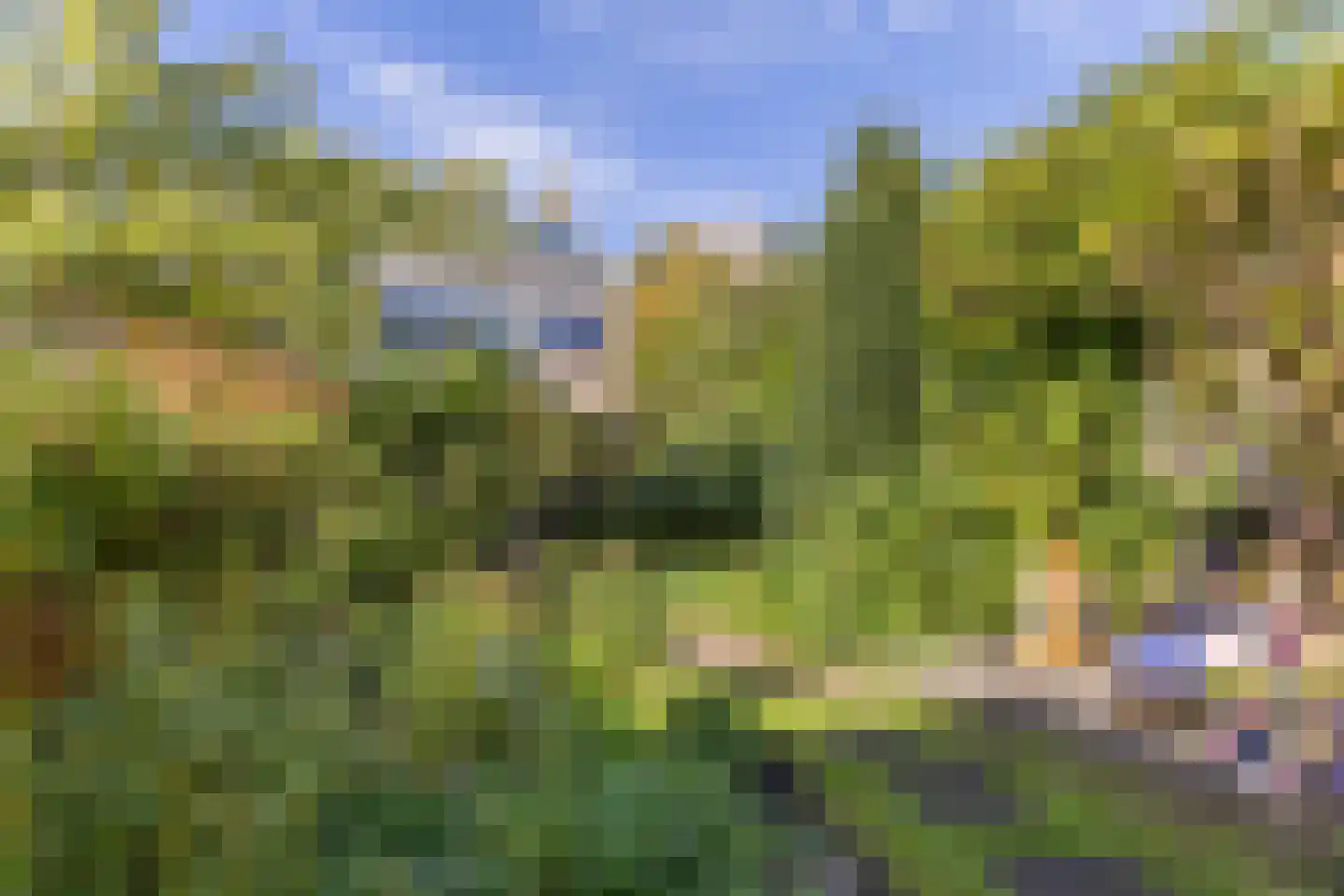 Prof. dr. C. Eijkmanweg 5 De Bilt thumbnail 32