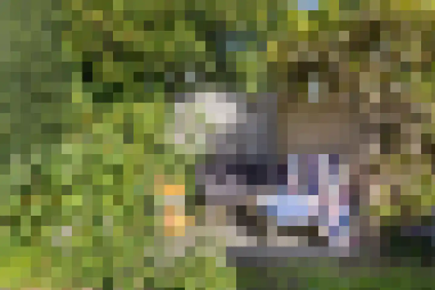 Prof. dr. C. Eijkmanweg 5 De Bilt thumbnail 33