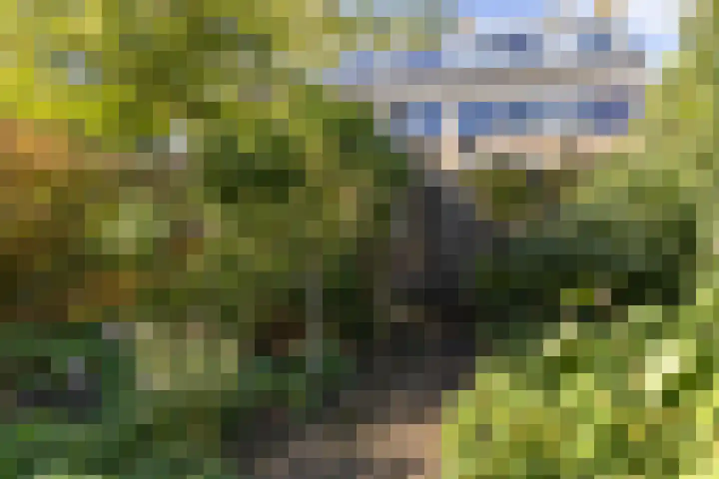 Prof. dr. C. Eijkmanweg 5 De Bilt thumbnail 34