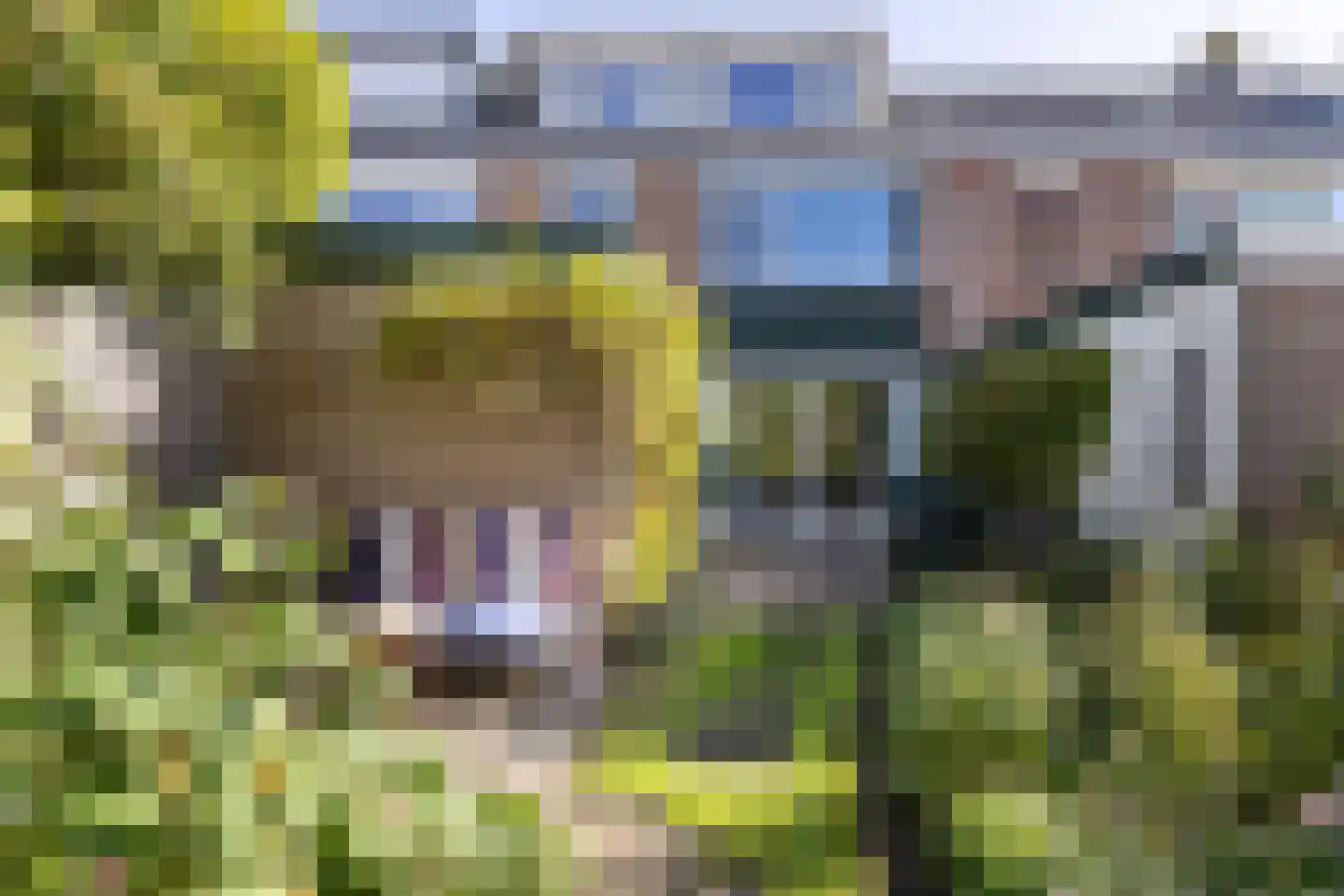 Prof. dr. C. Eijkmanweg 5 De Bilt thumbnail 36