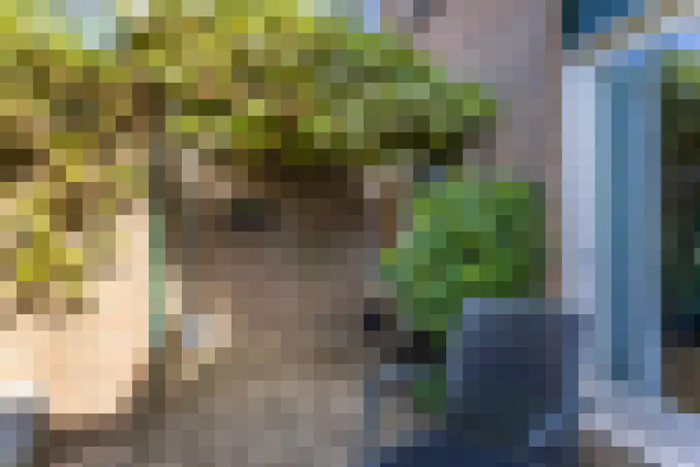 Prof. dr. C. Eijkmanweg 5 De Bilt thumbnail 39