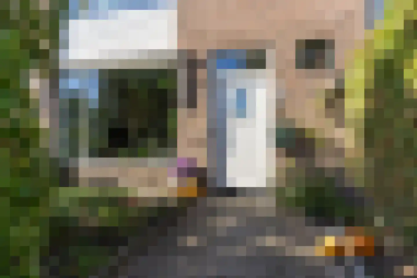 Prof. dr. C. Eijkmanweg 5 De Bilt thumbnail 4