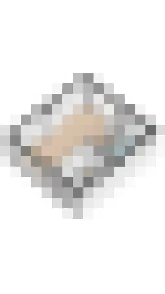 Prof. dr. C. Eijkmanweg 5 De Bilt thumbnail 44