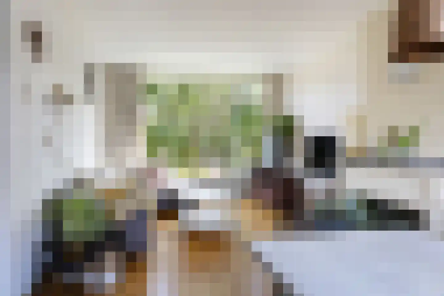 Prof. dr. C. Eijkmanweg 5 De Bilt thumbnail 7