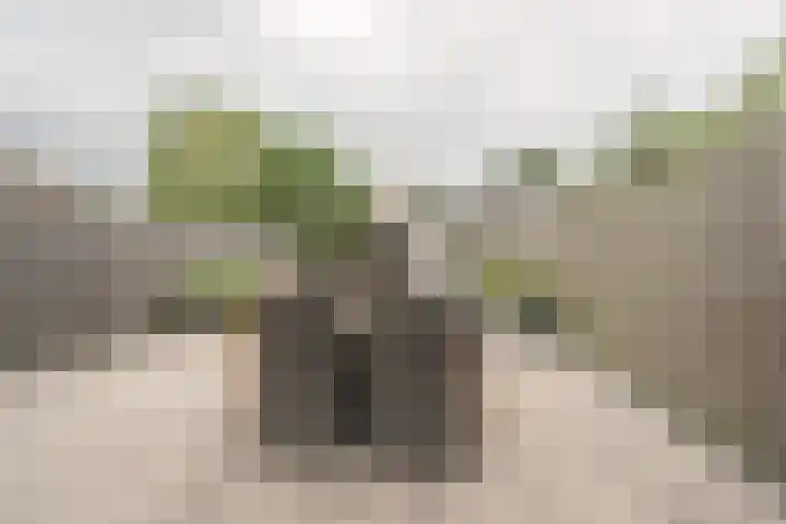 Prof Dr C Winklerstraat 20 Vianen thumbnail 21
