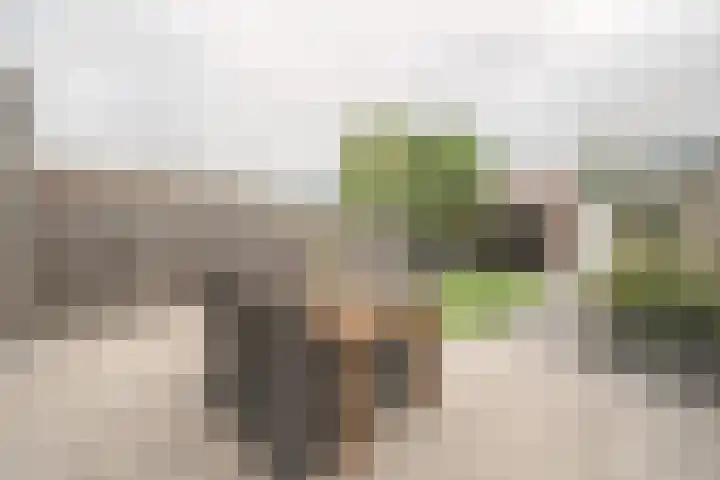Prof Dr C Winklerstraat 20 Vianen thumbnail 22