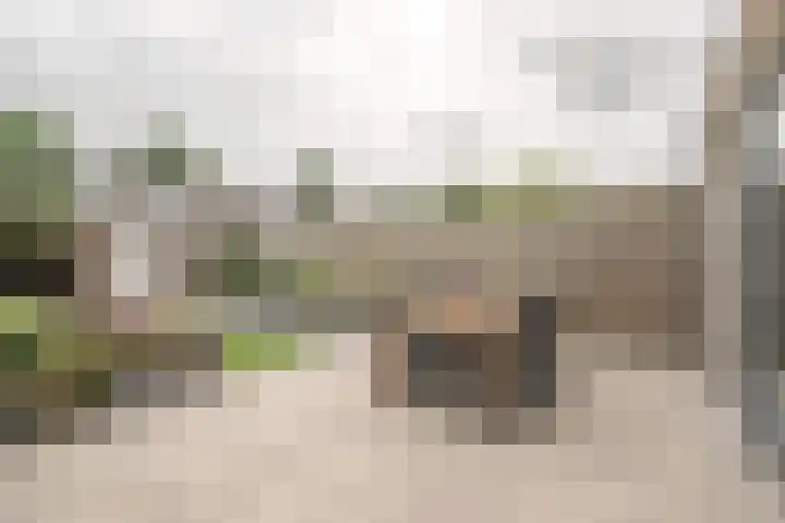 Prof Dr C Winklerstraat 20 Vianen thumbnail 23