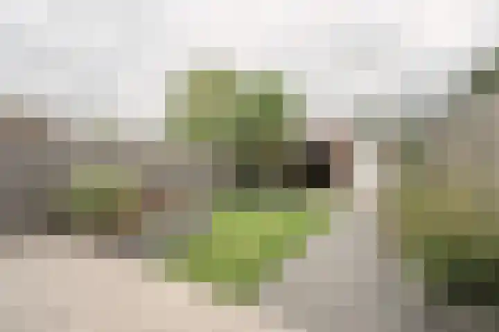 Prof Dr C Winklerstraat 20 Vianen thumbnail 25