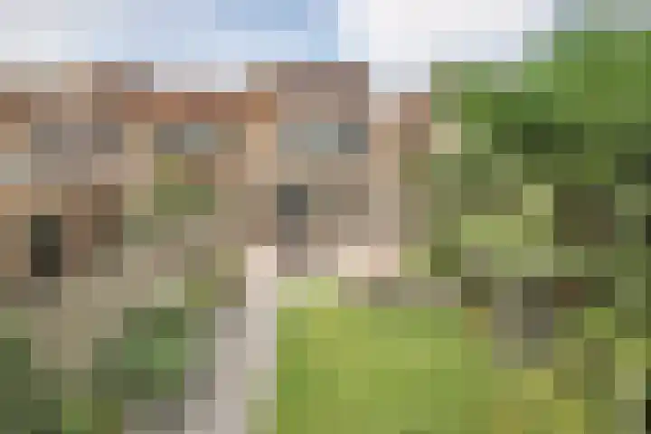 Prof Dr C Winklerstraat 20 Vianen thumbnail 31