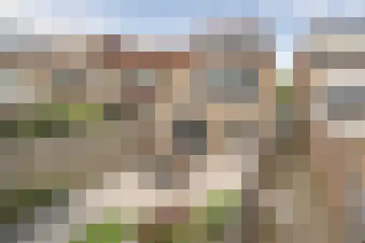 Prof Dr C Winklerstraat 20 Vianen thumbnail 32