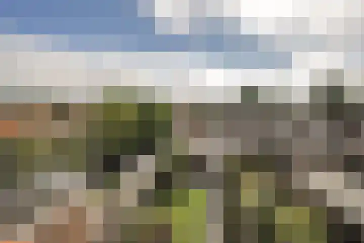 Prof Dr C Winklerstraat 20 Vianen thumbnail 55