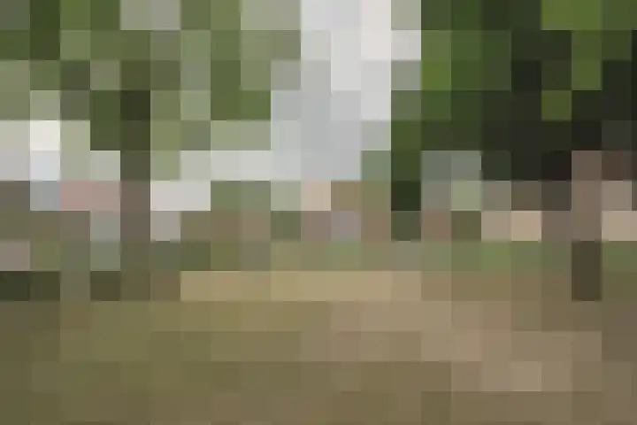 Prof Dr C Winklerstraat 20 Vianen thumbnail 60
