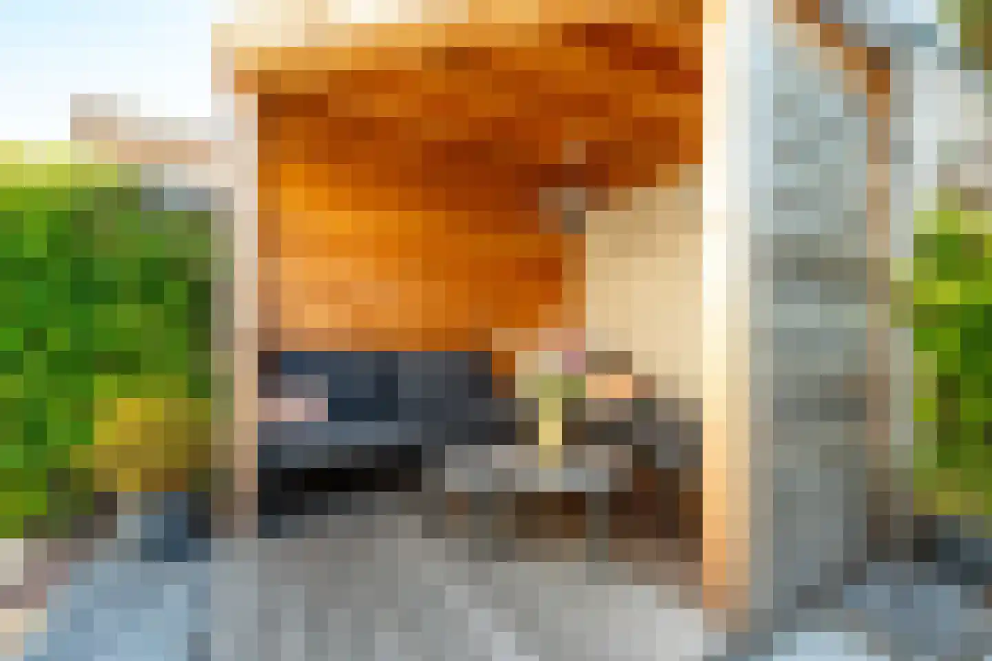 Prof. Dr. Claylaan 26 Nieuwegein thumbnail 37