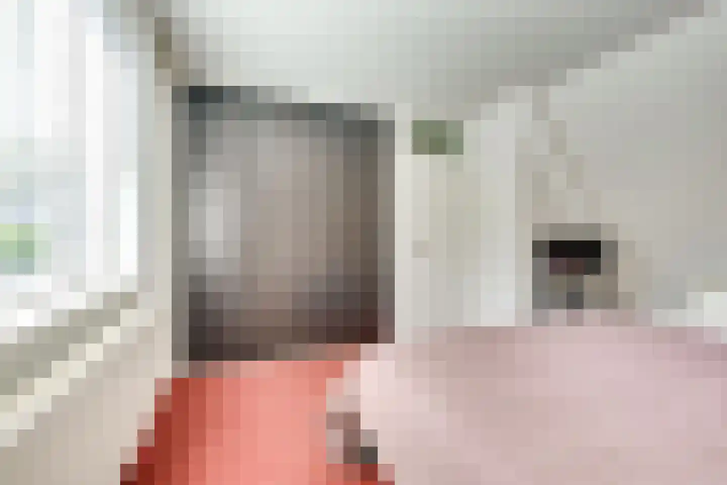Prof. Dr. Claylaan 26 Nieuwegein thumbnail 49
