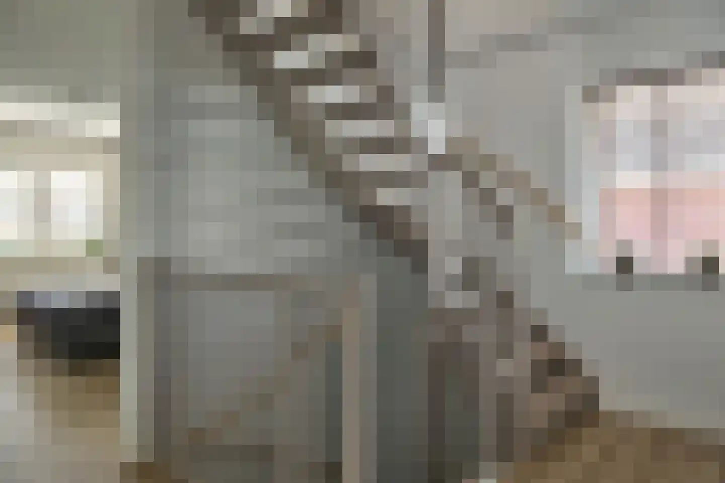 Prof dr Cleveringastraat 23 Heerenveen thumbnail 23