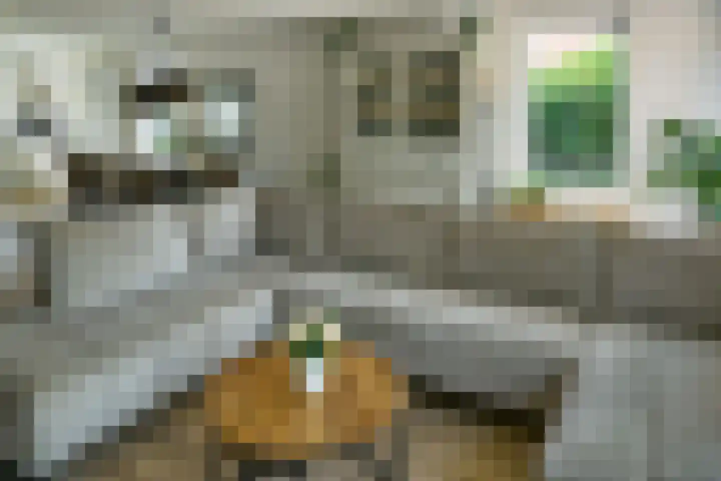 Prof dr Cleveringastraat 23 Heerenveen thumbnail 7