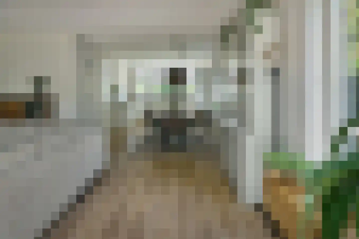 Prof dr Cleveringastraat 23 Heerenveen thumbnail 8