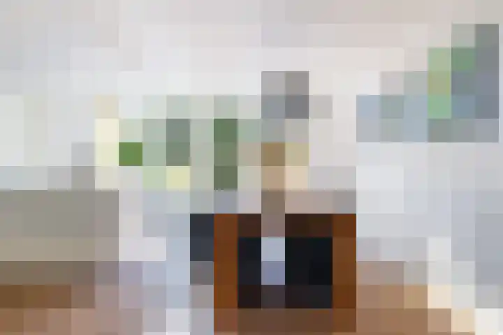 Prof dr Cleveringastraat 40 Heerenveen thumbnail 14