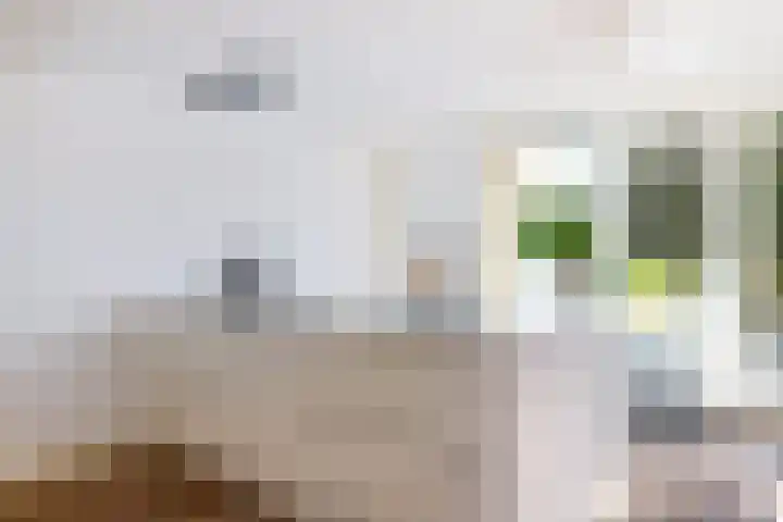 Prof dr Cleveringastraat 40 Heerenveen thumbnail 16