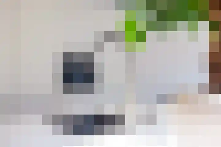 Prof dr Cleveringastraat 40 Heerenveen thumbnail 19