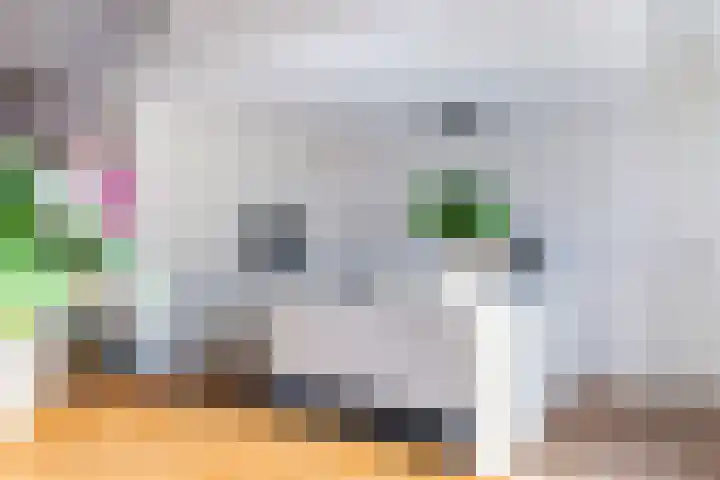 Prof dr Cleveringastraat 40 Heerenveen thumbnail 20