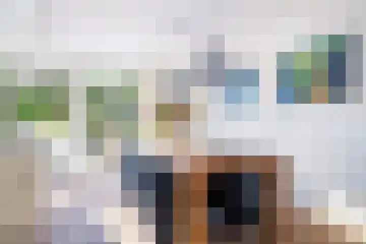Prof dr Cleveringastraat 40 Heerenveen thumbnail 21