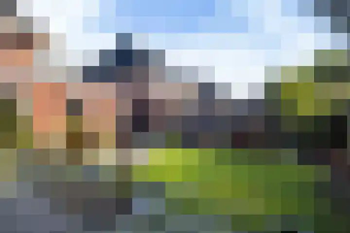 Prof dr Cleveringastraat 40 Heerenveen thumbnail 27