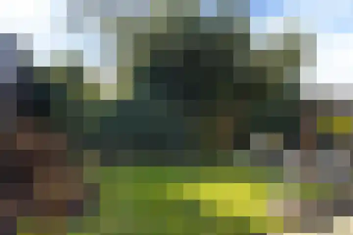Prof dr Cleveringastraat 40 Heerenveen thumbnail 29