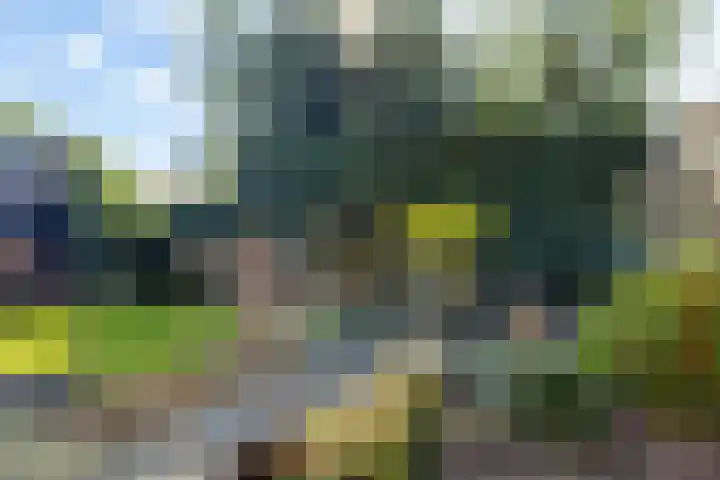 Prof dr Cleveringastraat 40 Heerenveen thumbnail 30