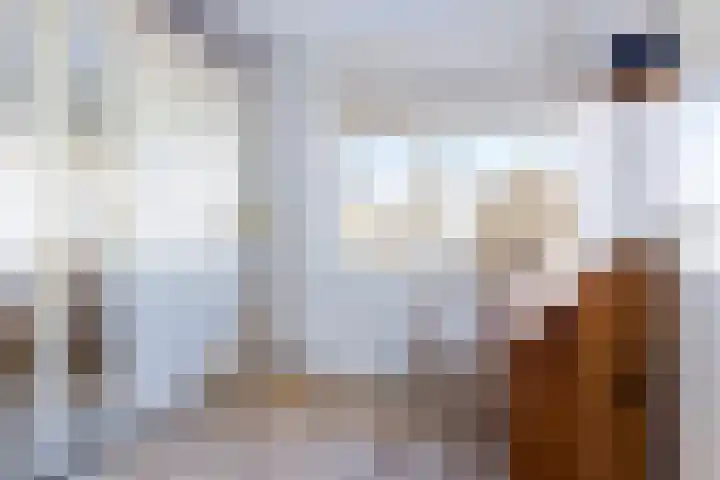 Prof dr Cleveringastraat 40 Heerenveen thumbnail 43