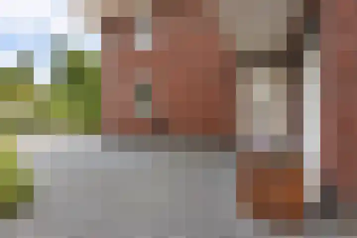 Prof dr Cleveringastraat 50 Heerenveen thumbnail 11
