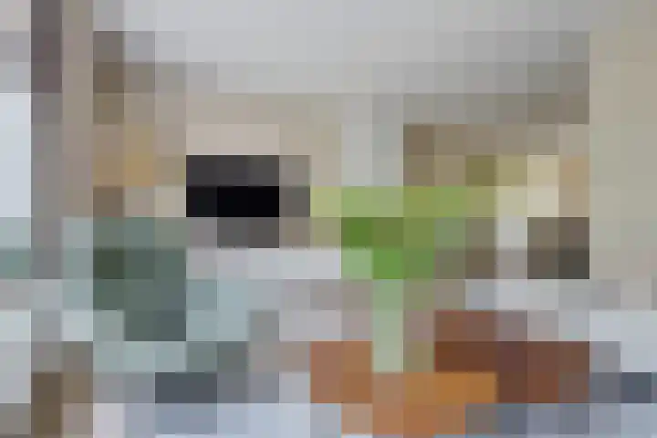 Prof dr Cleveringastraat 50 Heerenveen thumbnail 15