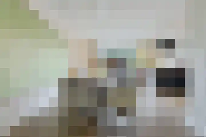 Prof dr Cleveringastraat 50 Heerenveen thumbnail 16