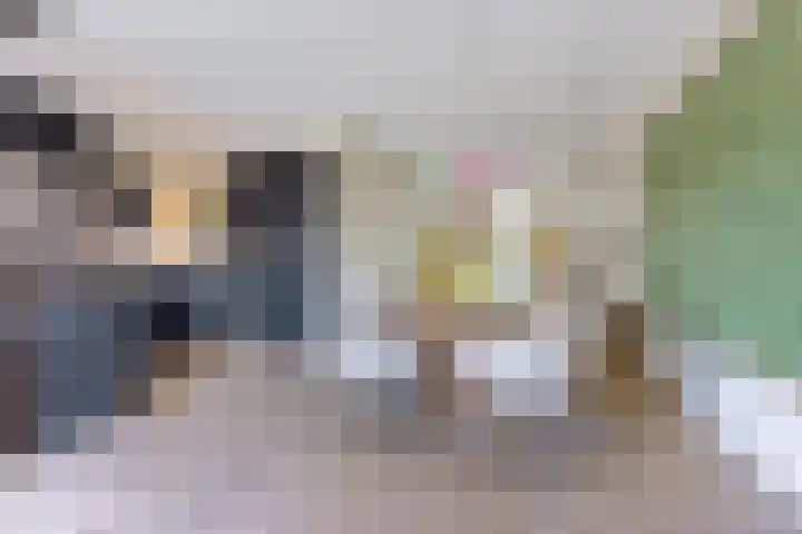 Prof dr Cleveringastraat 50 Heerenveen thumbnail 17