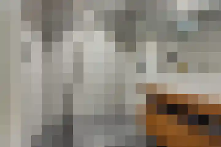 Prof dr Cleveringastraat 50 Heerenveen thumbnail 26
