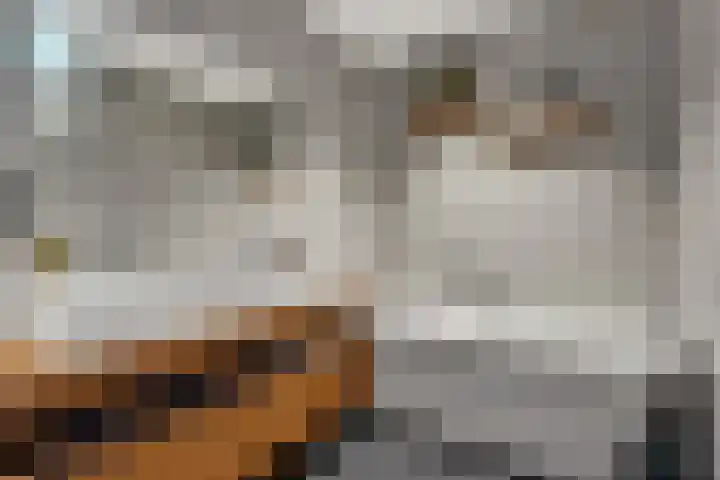 Prof dr Cleveringastraat 50 Heerenveen thumbnail 27