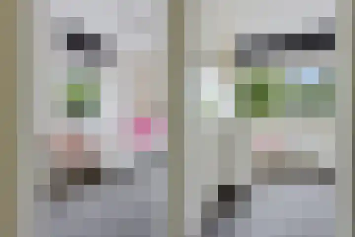 Prof dr Cleveringastraat 50 Heerenveen thumbnail 28