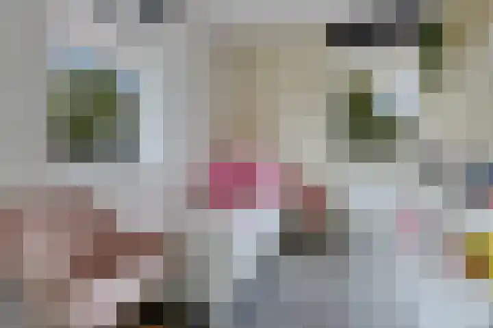 Prof dr Cleveringastraat 50 Heerenveen thumbnail 29
