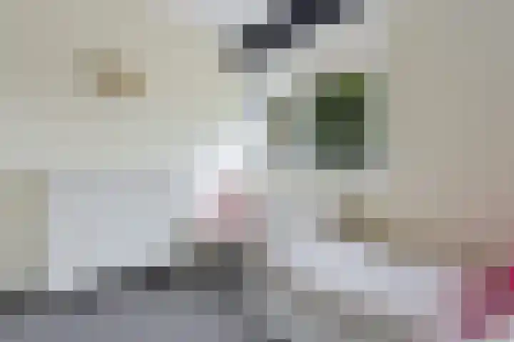 Prof dr Cleveringastraat 50 Heerenveen thumbnail 30