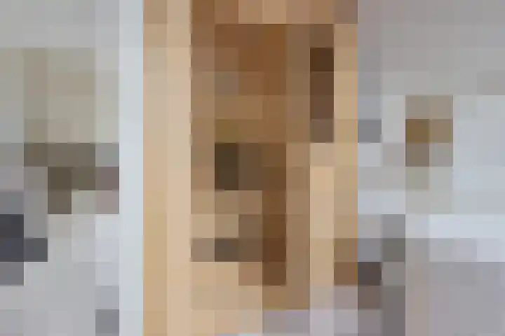Prof dr Cleveringastraat 50 Heerenveen thumbnail 34