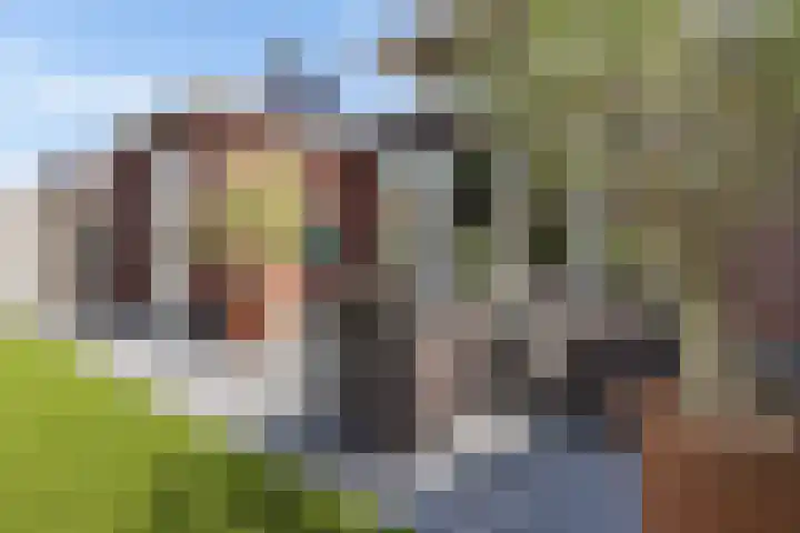 Prof dr Cleveringastraat 50 Heerenveen thumbnail 36