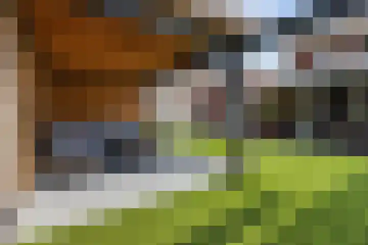 Prof dr Cleveringastraat 50 Heerenveen thumbnail 40