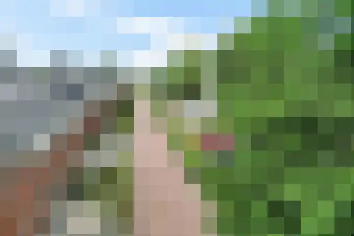 Prof dr Cleveringastraat 50 Heerenveen thumbnail 43