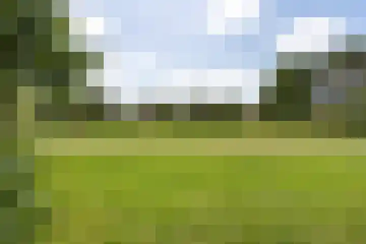 Prof dr Cleveringastraat 50 Heerenveen thumbnail 44